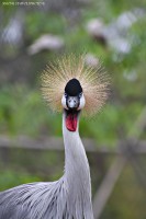 /album/animals/img-3288-jpg1/