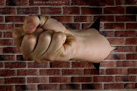 /album/still-life/img-3792-jpg1/