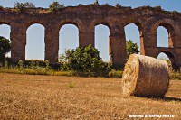 /album/landscapes/img-3882-jpg/