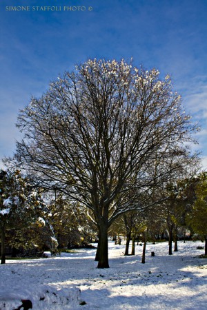 Neve sulla capitale